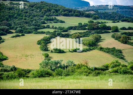 Champs agricoles en Sardaigne du Sud - Italie Banque D'Images