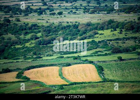 Champs agricoles en Sardaigne du Sud - Italie Banque D'Images