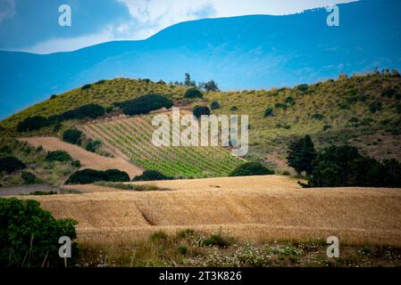 Champs agricoles en Sardaigne du Sud - Italie Banque D'Images