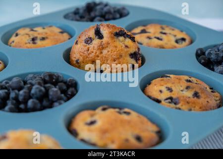Muffins aux myrtilles frais. Délicieux cupcake sucré. Pâtisserie dessert maison. Tarte aux baies dans un moule à muffins en silicone. Cupcakes végétaliens sains avec des baies biologiques cuites dans des formes de silicone réutilisables Banque D'Images