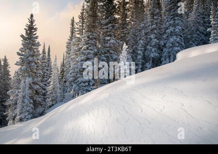 Un paysage serein montre la beauté des montagnes Rocheuses par un matin ensoleillé après une chute de neige fraîche. Banque D'Images