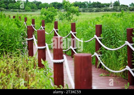 Photo d'un petit pont en bois au-dessus d'une rivière à l'état sauvage et de plantes sur le rivage Banque D'Images