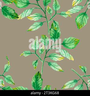 dessin à l'aquarelle, motif sans couture avec des feuilles vertes et des brindilles Banque D'Images