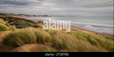 Dans les dunes de sable de Camber Sands sur la côte est du Sussex au sud-est de l'Angleterre Banque D'Images