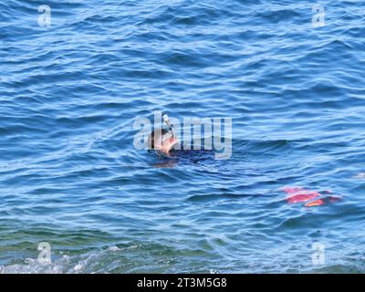 Un homme snorkeling avec des palmes de plongée rouges dans la mer en face du château de Pendennis près de Falmouth Angleterre Banque D'Images