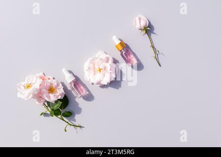 Disposition diagonale plate sur fond gris de bouteilles cosmétiques avec compte-gouttes avec huile de rose et fleurs de rose. Soins cosmétiques à domicile. espace de copie. Banque D'Images