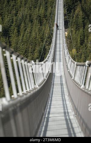 Sky Bridge 721 plus long pont suspendu. .Ponts suspendus piliers en fer du Sky Bridge 721, Dolni Morava, République tchèque, gros plan. Banque D'Images