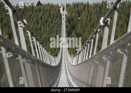 Sky Bridge 721 plus long pont suspendu. .Ponts suspendus piliers en fer du Sky Bridge 721, Dolni Morava, République tchèque, gros plan. Banque D'Images