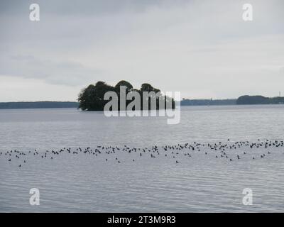 Vue sur une île dans le lac Schwerin en face du château de Wiligrad près de Lübstorf près de Schwerin, Allemagne Banque D'Images