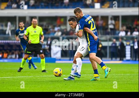 Vérone, Italie. 21 octobre 2023. Napoliâ&#x80;&#x99;s Giacomo Raspadori et Pawel Dawidowicz de Hellas Verona FC vs SSC Napoli, match de football italien Serie A à Vérone, Italie, octobre 21 2023 crédit : Independent photo Agency/Alamy Live News Banque D'Images