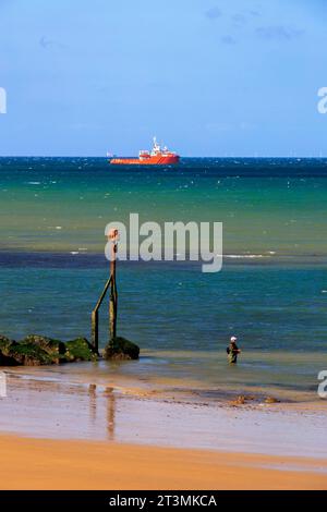 Un pêcheur de mer à marée basse sur la plage de Sheringham, Norfolk, Angleterre, Royaume-Uni Banque D'Images