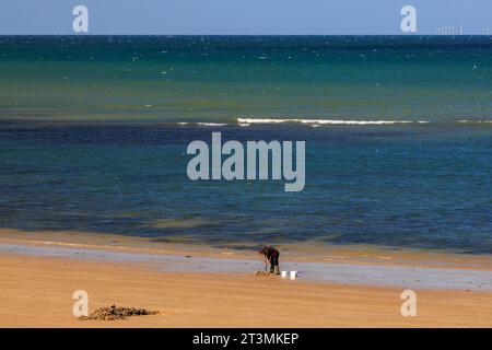 Un pêcheur de mer fouillant à marée basse pour trouver des appâts sur la plage de Sheringham, Norfolk, Angleterre, Royaume-Uni Banque D'Images