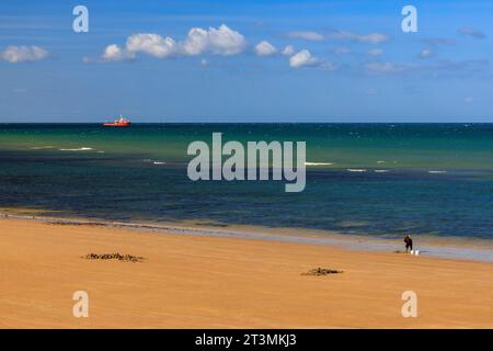 Un pêcheur de mer fouillant à marée basse pour trouver des appâts sur la plage de Sheringham, Norfolk, Angleterre, Royaume-Uni Banque D'Images