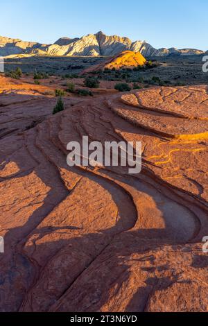 Vues des formations de grès navajo appelées White Rocks depuis la piste Petrified Dunes Trail dans le parc d'État de Snow Canyon dans l'Utah. Banque D'Images