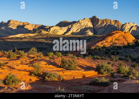 Vues des formations de grès navajo appelées White Rocks depuis la piste Petrified Dunes Trail dans le parc d'État de Snow Canyon dans l'Utah. Banque D'Images