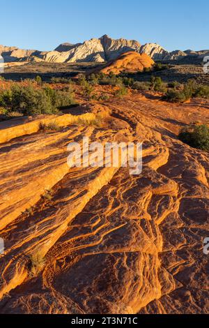 Vues des formations de grès navajo appelées White Rocks depuis la piste Petrified Dunes Trail dans le parc d'État de Snow Canyon dans l'Utah. Banque D'Images