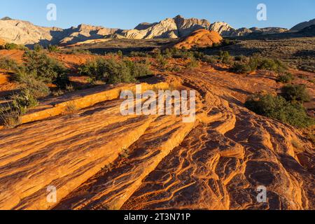 Vues des formations de grès navajo appelées White Rocks depuis la piste Petrified Dunes Trail dans le parc d'État de Snow Canyon dans l'Utah. Banque D'Images