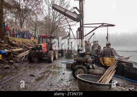 capture de l'étang, les pêcheurs traitent la carpe capturée, carpe transportant l'équipement, transportant les poissons, les spectateurs à la prise de l'étang Banque D'Images