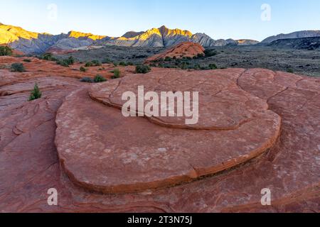 Vues des formations de grès navajo appelées White Rocks depuis la piste Petrified Dunes Trail dans le parc d'État de Snow Canyon dans l'Utah. Banque D'Images