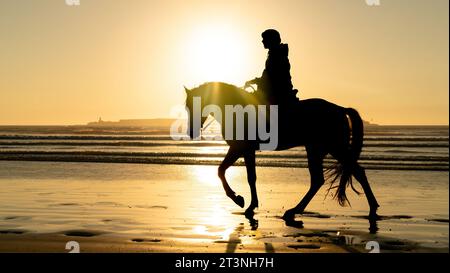 Silhouette d'un cheval et cavalier non identifié sur la plage d'Essaouira Mogador, Maroc Banque D'Images