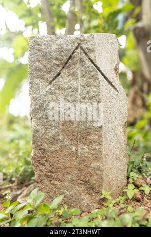 Rune Teiwaz isolée sur pierre Banque D'Images