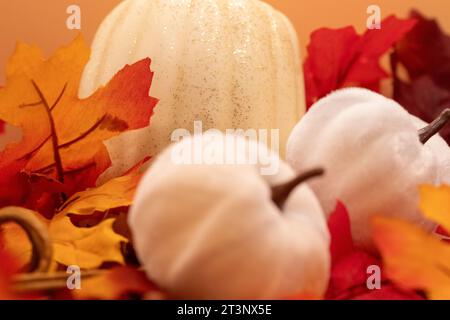 Photo HDR de citrouilles blanches sur feuilles. Photo de haute qualité Banque D'Images