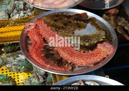 Marché aux poissons à Busan, Corée du Sud. Concombre de mer de Californie (Apostichopus californicus) vivant au marché aux poissons de Jagalchi. Banque D'Images
