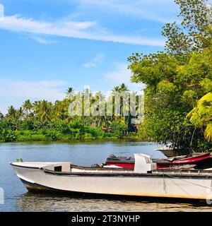 Belle vue sur le lac Bentota, Sri Lanka, par une journée ensoleillée et claire. Banque D'Images