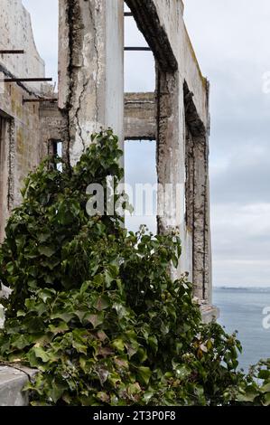 La structure de la maison du gardien sur l'île d'Alcatraz a été brûlée avec des vignes qui poussent sur le côté Banque D'Images