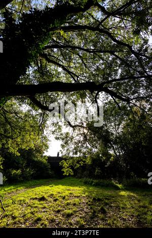 Linear Arboretum, Ross on Wye, herefordshire Banque D'Images