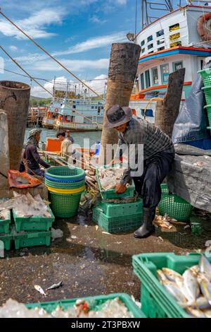 Village de pêcheurs de Samaesan, Thaïlande, 1 septembre 2023 : les ouvriers déchargent des vannettes de poisson d'un bateau de pêche et les empilent pour des acheteurs potentiels. Banque D'Images