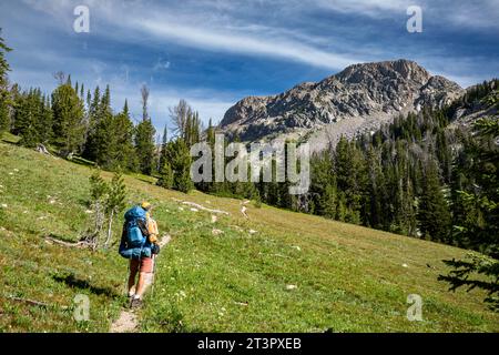 WY05369-00...WYOMING - randonnée à travers les prairies sur le chemin de Porcupine Pass dans la nature sauvage de Bridger dans la chaîne Wind River. Banque D'Images