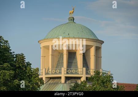 Kunstgebäude Stuttgart, Württembergischer Kunstverein, Schloßplatz, Stuttgart, Bade-Württemberg, Deutschland Banque D'Images