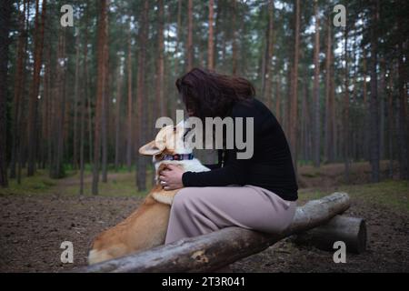 une femme enceinte est assise sur une bûche dans la forêt et joue avec son chien corgi Banque D'Images