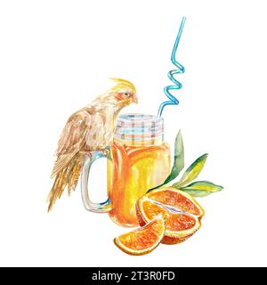 Jus d'orange, tranches d'orange, perroquet Corella. Illustration aquarelle isolée sur fond blanc. Élément de conception pour le menu de café, les étiquettes de jus, la nourriture pa Banque D'Images