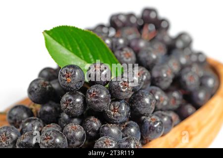 Baies Aronia dans un bol en bois Banque D'Images