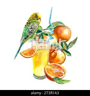 Un verre de jus d'orange avec un perroquet assis, des oranges, des tranches d'orange. Illustration aquarelle isolée sur fond blanc. Élément de conception pour café m Banque D'Images