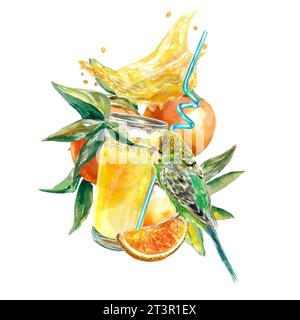 Un verre de jus d'orange, des fruits et des tranches d'orange, des éclaboussures de jus, un cognard. Illustration aquarelle isolée sur fond blanc. Élément de conception f Banque D'Images