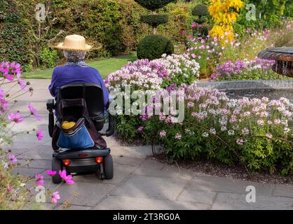 Femme indépendante handicapée âgée sur fauteuil roulant de scooter de mobilité électrique, profitant de l'extérieur dans le jardin d'automne sur une passerelle piétonne Surrey UK Banque D'Images