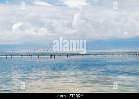 Le Royaume du ciel du lac salé de Chaka dans la province de Qinghai, en Chine Banque D'Images