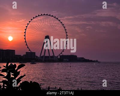 Dubaï, Émirats arabes Unis- 21 septembre 2023 : l'Ain Dubai stationnaire était toujours allumé alors qu'il subissait des réparations pour redémarrer sa rotation. Une vue depuis la marina de Dubaï. Banque D'Images