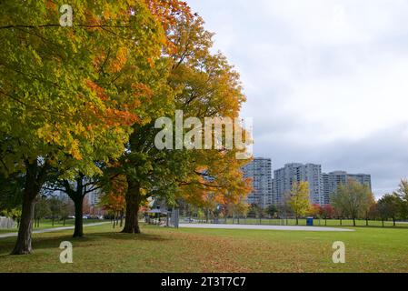 Appartement vivant avec couleur de feuille d'automne Banque D'Images