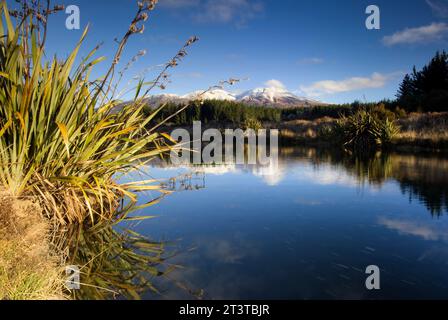 Vue depuis le lac Rotoaira du mont. Tongariro et Mt Ngauruhoe. Parc national de Tongariro. Centre de l'île du Nord, Nouvelle-Zélande Banque D'Images