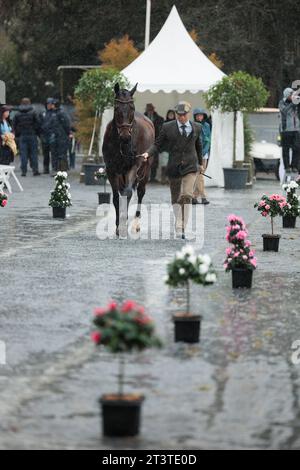 Aistis VITKAUSKAS de Lituanie avec le commandant VG lors de la première inspection des chevaux aux cinq étoiles de Pau Horse Trials le 26 octobre 2023, France (photo de Maxime David/MXIMD Pictures - mximd.com) Banque D'Images