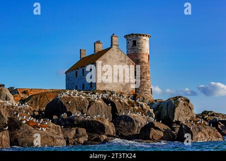 Phare de West Maidens, Larne, comté d'Antrim, Irlande du Nord, Royaume-Uni Banque D'Images