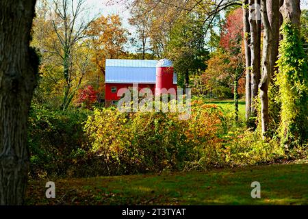 Fairfax, Virginie, États-Unis - 26 octobre 2023 : une vieille grange rouge se distingue par les feuilles changeantes et colorées du comté de Fairfax par un automne ensoleillé après. Banque D'Images