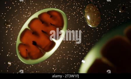 Gros plan, rendu 3D hyper-réaliste d'une mitochondrie avec un arrière-plan flou Banque D'Images