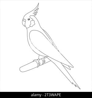 Doodle Cute plat vecteur perroquet réaliste isolé sur fond blanc. Petit Cockatiel assis sur une branche. Oiseau tropical exotique parlant. Domestique Illustration de Vecteur