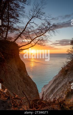 Le soleil du matin brille sur les falaises de craie de Möns Klint, île de la mer Baltique de Mön, Danemark Banque D'Images