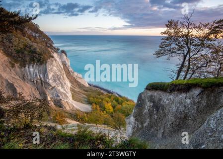 Le soleil du matin brille sur les falaises de craie de Möns Klint, île de la mer Baltique de Mön, Danemark Banque D'Images